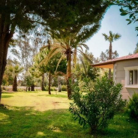 Aslihan Motel アナムル エクステリア 写真