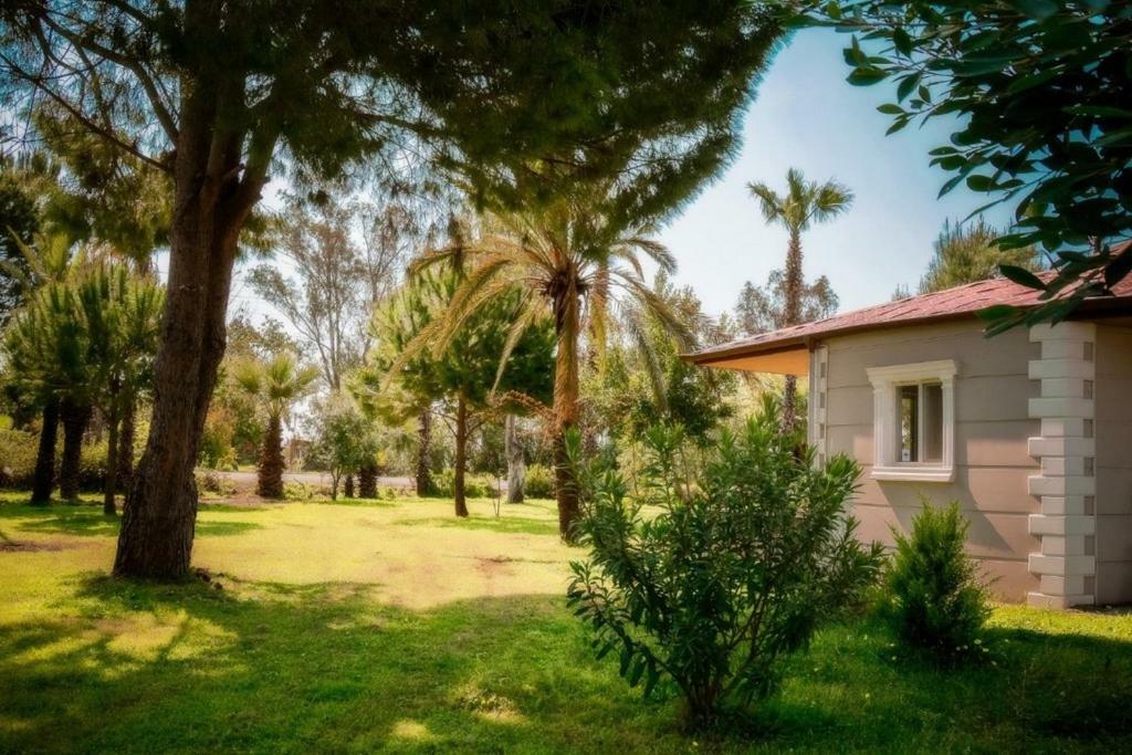 Aslihan Motel アナムル エクステリア 写真